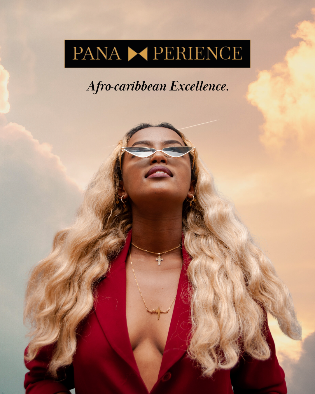 PANA EXPERIENCE - BRANDING